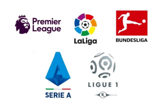 年轻队员都 年轻队员都